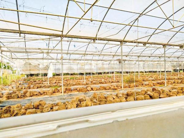 Terreno en avenida d'Elx