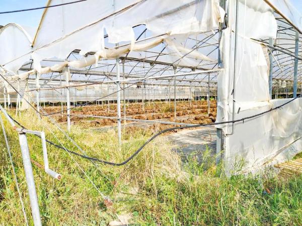 Terreno en avenida d'Elx