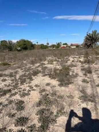 Terreno en La Marina