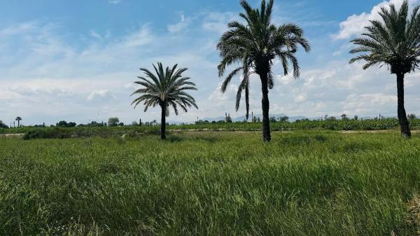 Terreno en La Hoya-Daimes-El Derramador