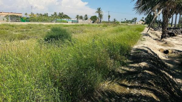 Terreno en La Hoya-Daimes-El Derramador
