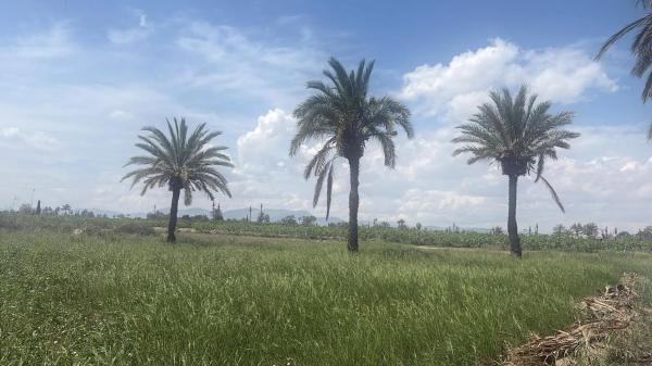 Terreno en La Hoya-Daimes-El Derramador