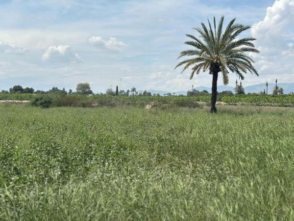 Terreno en La Hoya-Daimes-El Derramador