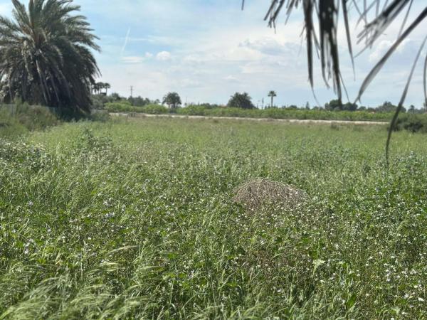 Terreno en La Hoya-Daimes-El Derramador