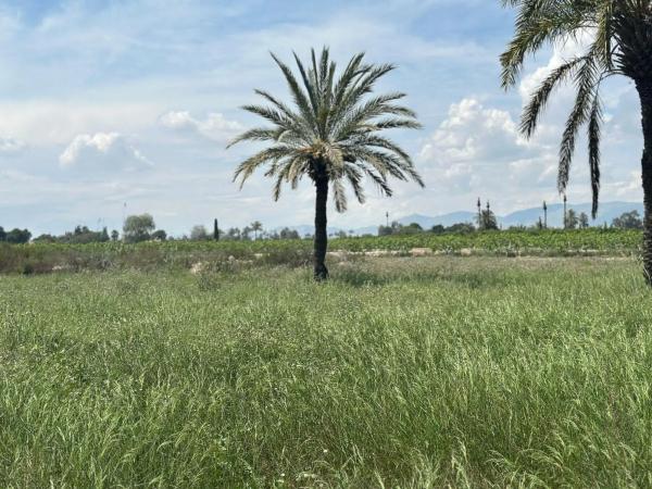 Terreno en La Hoya-Daimes-El Derramador