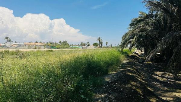 Terreno en La Hoya-Daimes-El Derramador
