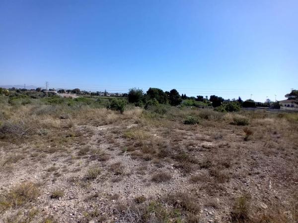 Terreno en Partida Valverde Bajo