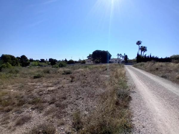 Terreno en Partida Valverde Bajo