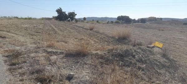 Terreno en Jubalcoi-Saladas