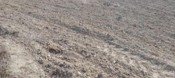Terreno en Jubalcoi-Saladas