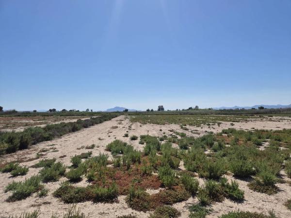 Terreno en La Hoya-Daimes-El Derramador