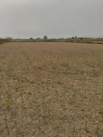 Terreno en La Hoya-Daimes-El Derramador