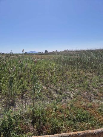 Terreno en La Hoya-Daimes-El Derramador