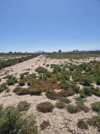 Terreno en La Hoya-Daimes-El Derramador