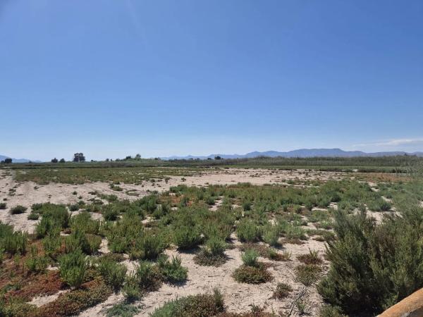 Terreno en La Hoya-Daimes-El Derramador
