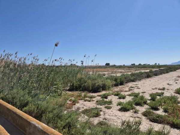 Terreno en La Hoya-Daimes-El Derramador