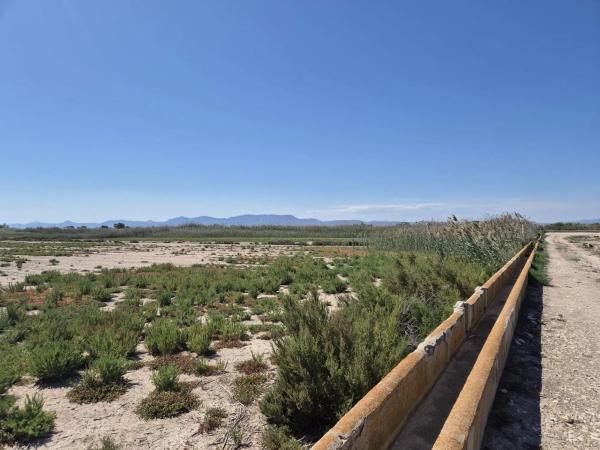 Terreno en La Hoya-Daimes-El Derramador