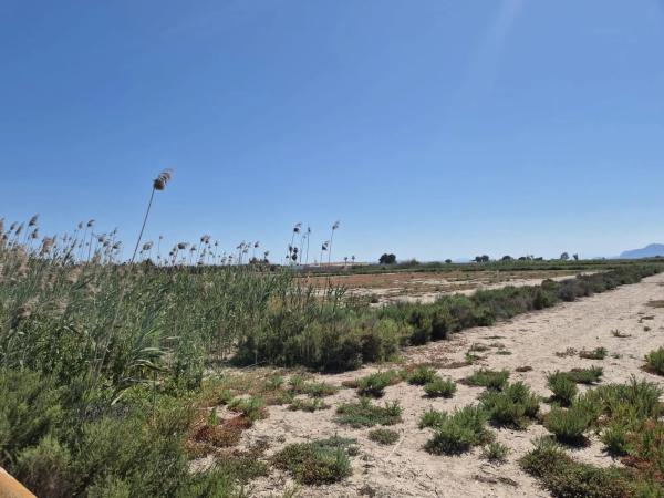 Terreno en La Hoya-Daimes-El Derramador