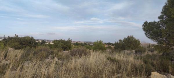 Terreno en Partida Peña Águilas