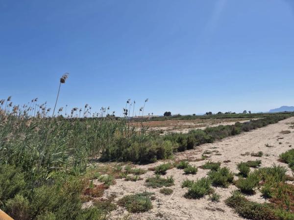 Terreno en La Hoya-Daimes-El Derramador