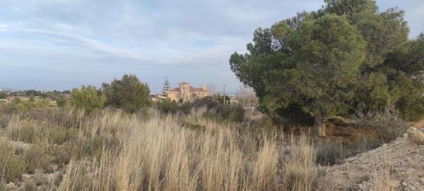 Terreno en Partida Peña Águilas