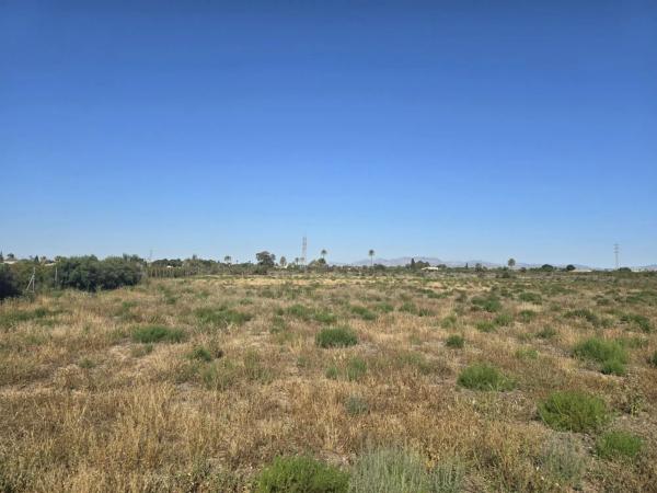 Terreno en Partida Perleta