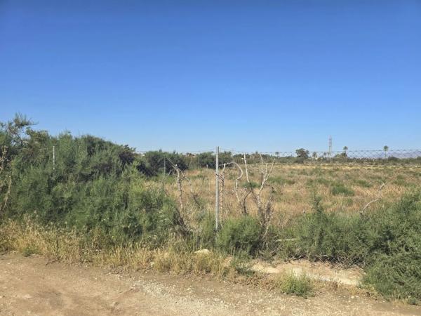 Terreno en Partida Perleta