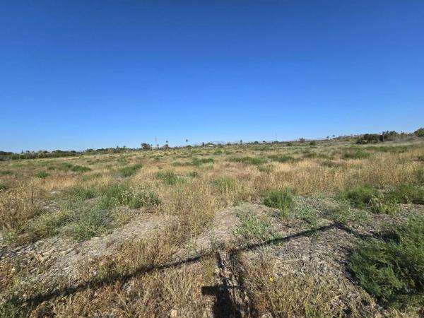 Terreno en Partida Perleta