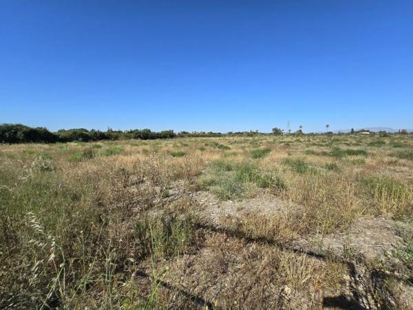 Terreno en Partida Perleta