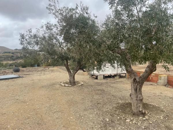 Terreno en Partida de Santa Ana, 5