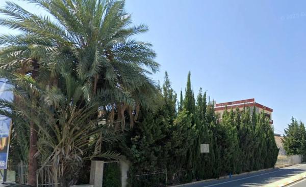 Terreno en Algoda-Matola-Llano de San José