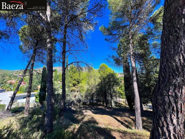 Terreno en calle Fresno