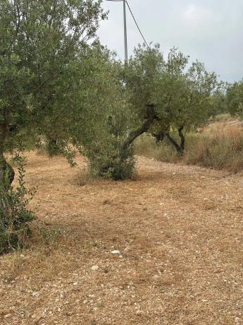 Terreno en Partida La Fita, 5