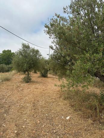 Terreno en Partida La Fita, 5