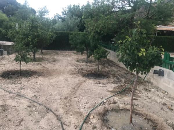 Terreno en partida el pla dels castellans, 25