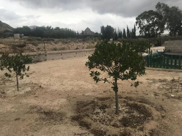 Terreno en partida el pla dels castellans, 25