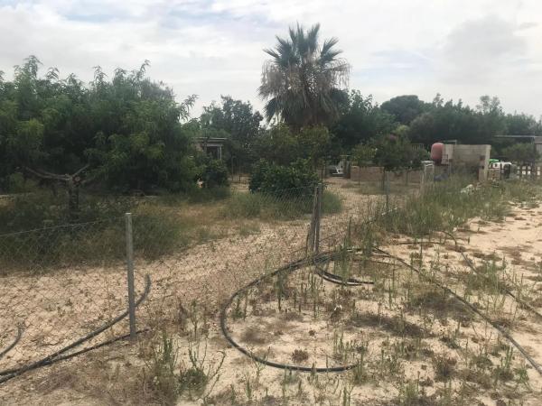 Terreno en partida el pla dels castellans, 25