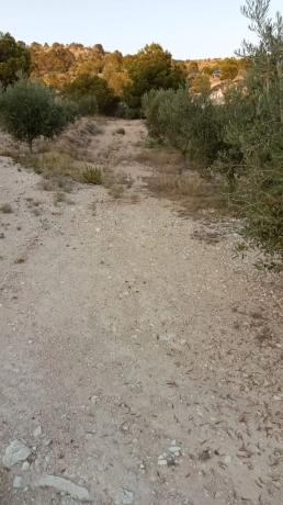 Terreno en calle Ventós, 3698