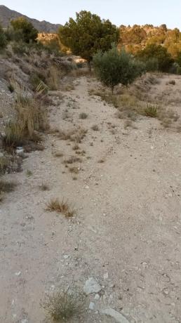 Terreno en calle Ventós, 3698