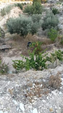 Terreno en calle Ventós, 3698