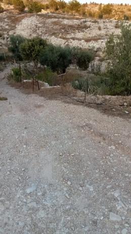 Terreno en calle Ventós, 3698