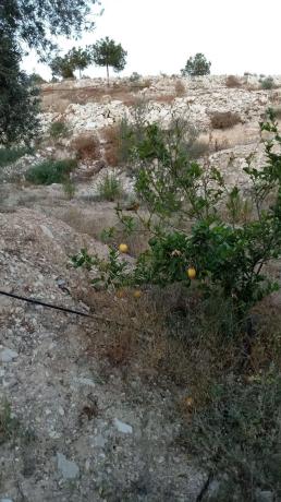 Terreno en calle Ventós, 3698