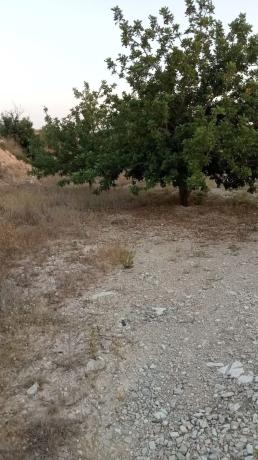 Terreno en calle Ventós, 3698