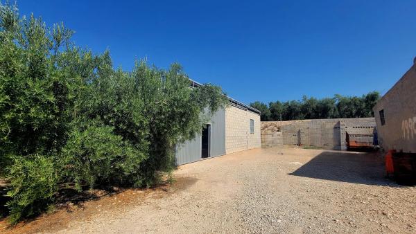 Terreno en Partida Sarganella, 37