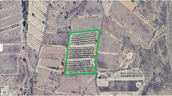 Terreno en Partida Sarganella, 37