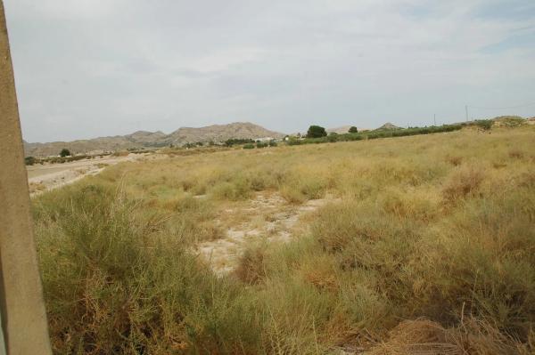Terreno en Partida Sol del Camp