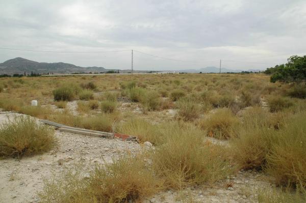 Terreno en Partida Sol del Camp