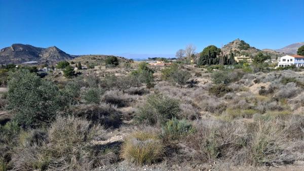 Terreno en calle Verdegás