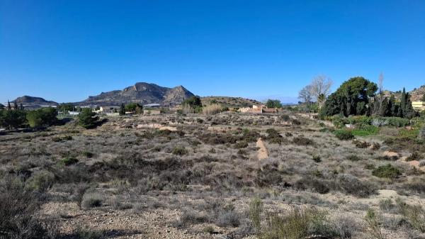 Terreno en calle Verdegás