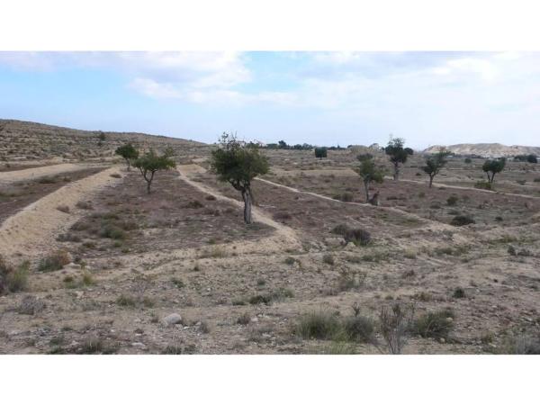 Terreno en Barrio Ensanche-Diputación